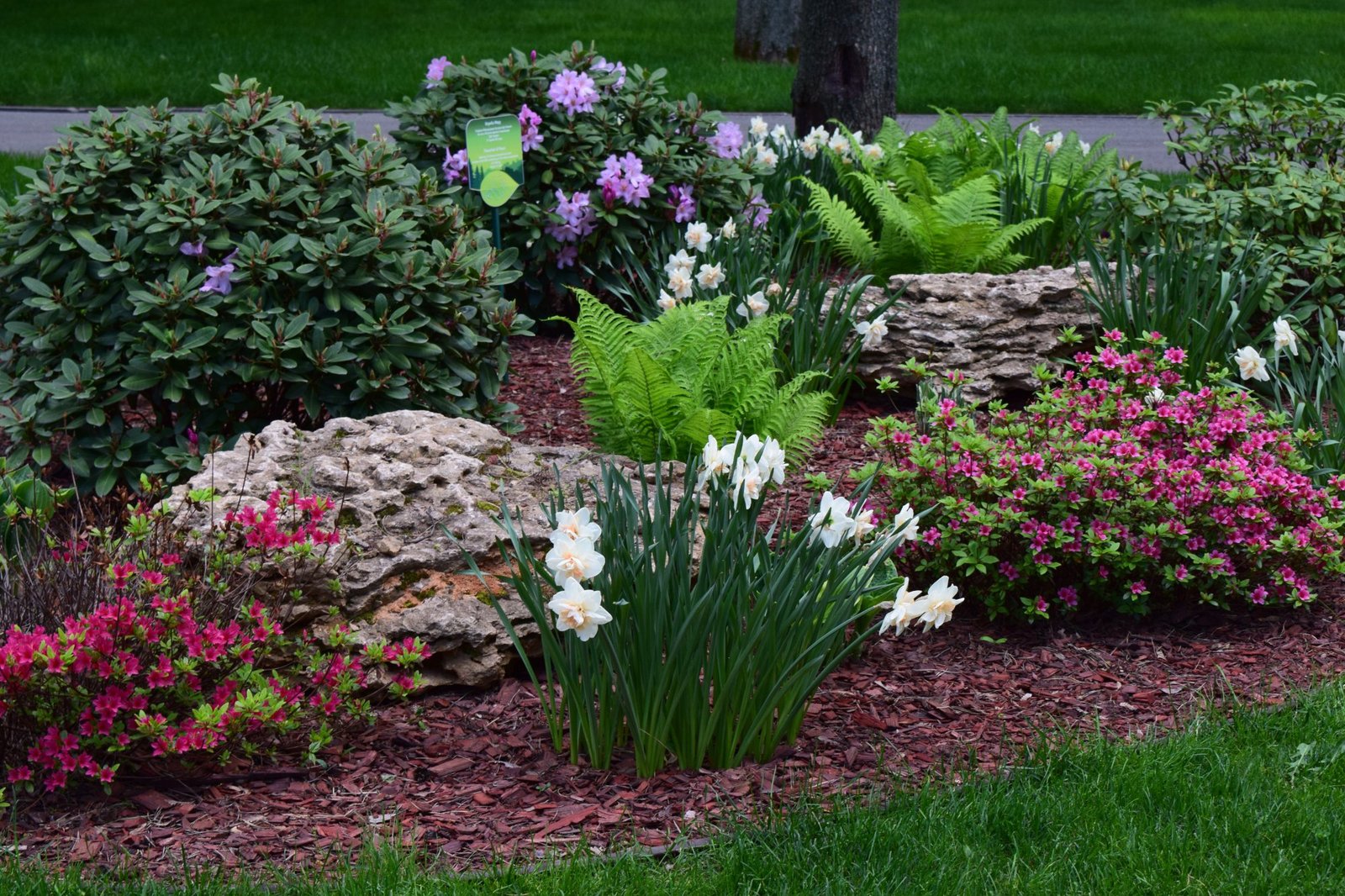 Caliber Land Care lawn care service in Rusk, TX