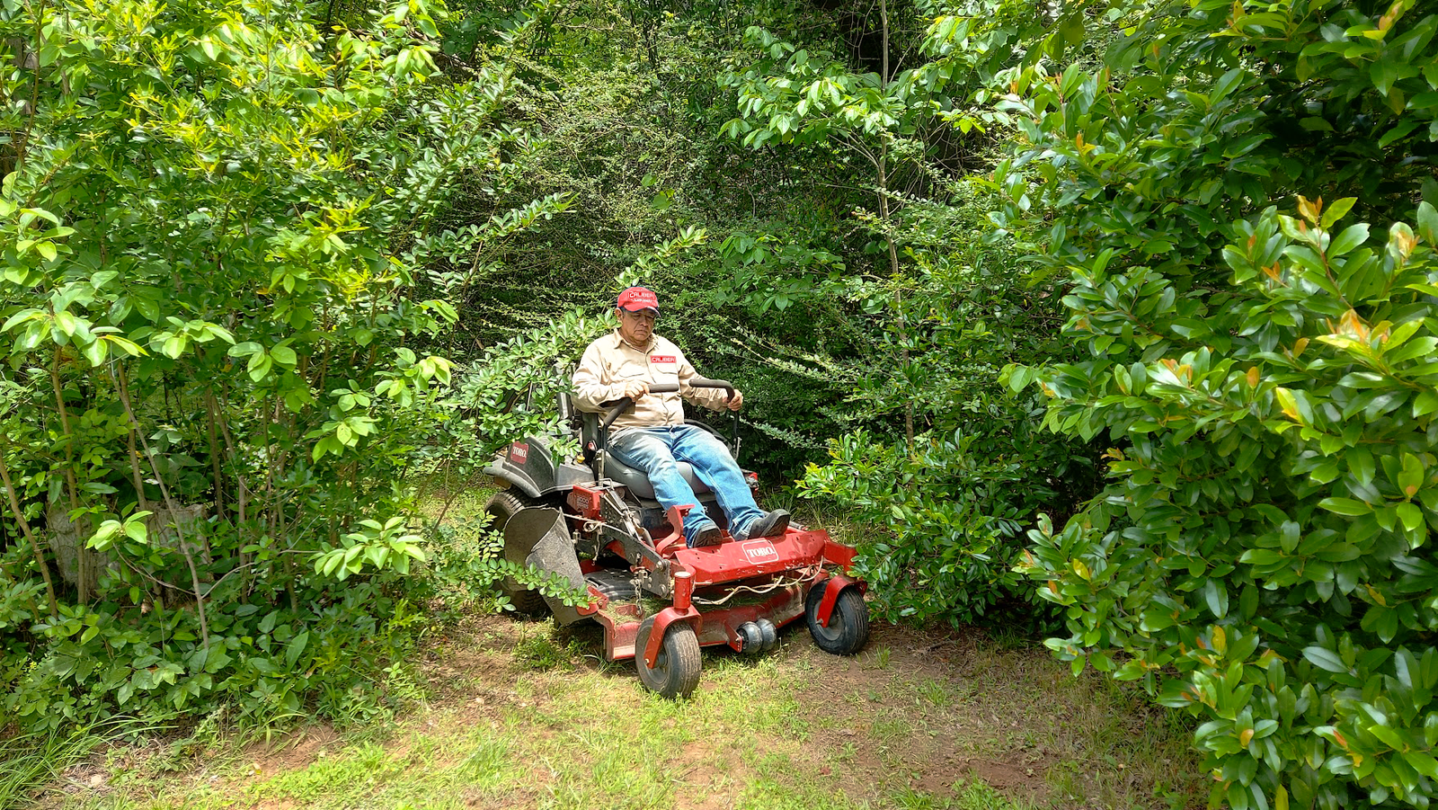 Caliber Land Care mowing service Jacksonville TX